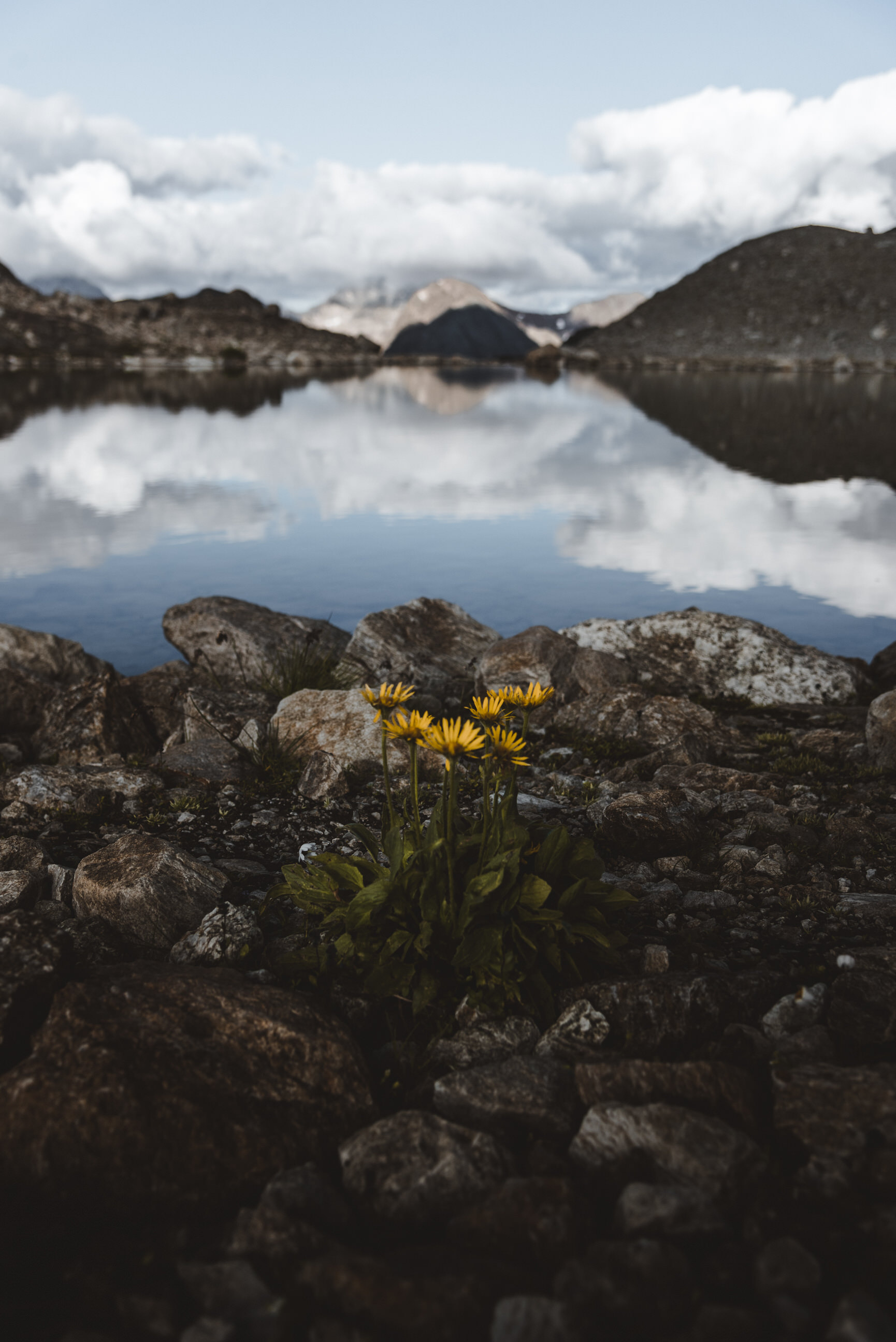 photo of summer hike